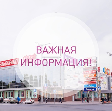 Дорогие друзья!